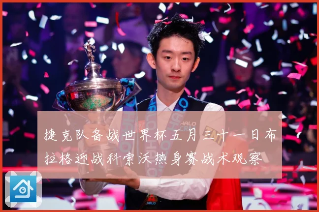 捷克队备战世界杯五月三十一日布拉格迎战科索沃热身赛战术观察