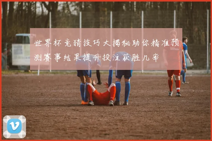 世界杯竞猜技巧大揭秘助你精准预测赛事结果提升投注获胜几率