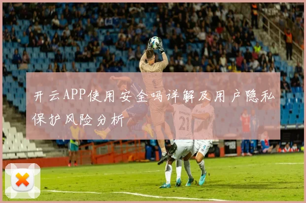 开云APP使用安全吗详解及用户隐私保护风险分析