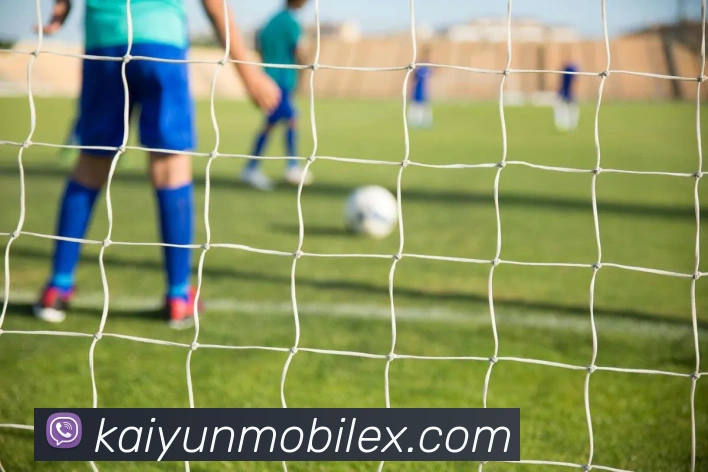 开云平台展示图